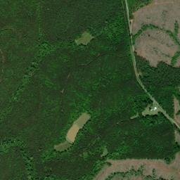 Clayhill Alabama High Resolution Satellite Map
