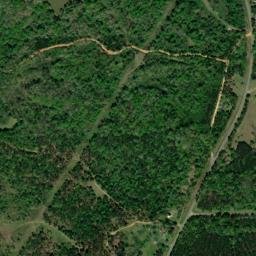 Naftel Alabama High Resolution Satellite Map