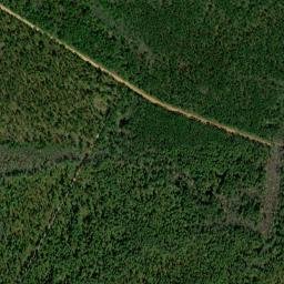 Bryan County map(satellite map)