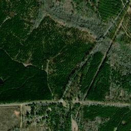 Postoak Alabama High Resolution Satellite Map