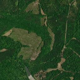 McBrydes Alabama High Resolution Satellite Map