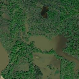 Pickens Landing Alabama High Resolution Satellite Map