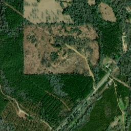Wilcox County map(satellite map)