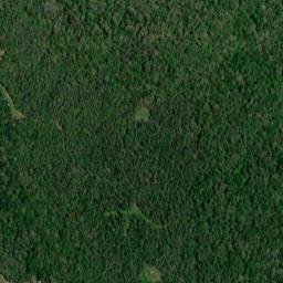 Claiborne County map(satellite map)