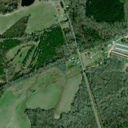 Omega Alabama High Resolution Satellite Map