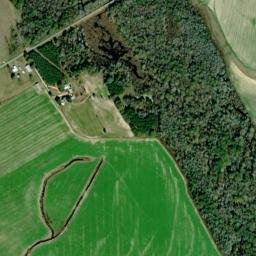 Pickett Alabama High Resolution Satellite Map