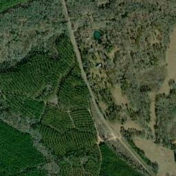 County Road 148, Lumpkin, GA 31815, USA High Resolution Satellite Map
