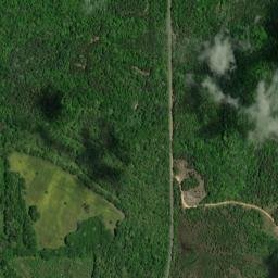 County Road 11, Minter, AL 36761, USA High Resolution Satellite Map
