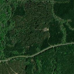 Louisiana 156, Winnfield, LA 71483, USA High Resolution Satellite Map