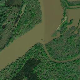 Campbells Landing Alabama High Resolution Satellite Map