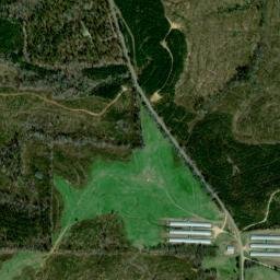 Logton Alabama High Resolution Satellite Map