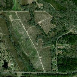 Colina Alabama High Resolution Satellite Map