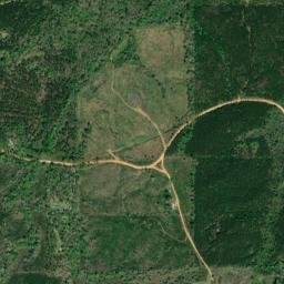 Failetown Alabama High Resolution Satellite Map