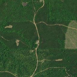 2125 Rosebud Road, Pine Apple, AL  High Resolution Satellite Map