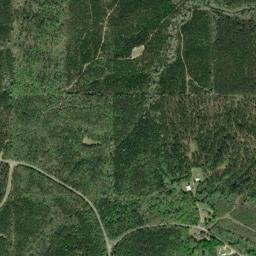 Wimbly Alabama High Resolution Satellite Map