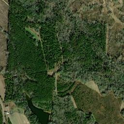 Jamback Alabama High Resolution Satellite Map