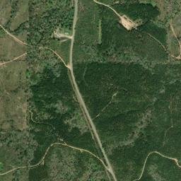 Thornton Springs Alabama High Resolution Satellite Map