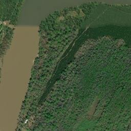 Scruggs Landing Alabama High Resolution Satellite Map