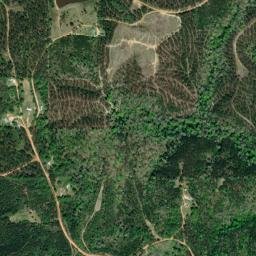 Cunningham Alabama High Resolution Satellite Map