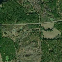 Nellie Alabama High Resolution Satellite Map