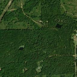 Daisy Alabama High Resolution Satellite Map