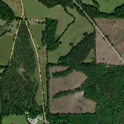 Olustee Alabama High Resolution Satellite Map