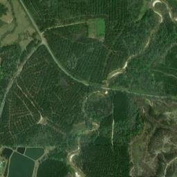 Water Valley Alabama High Resolution Satellite Map