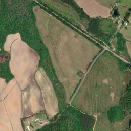 Coy Alabama High Resolution Satellite Map