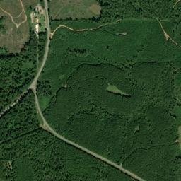 Caledonia Alabama High Resolution Satellite Map