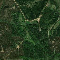 Evansboro Alabama High Resolution Satellite Map