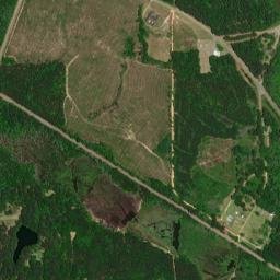 Shellhorn Alabama High Resolution Satellite Map