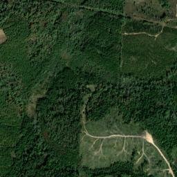 Barbour County map(satellite map)