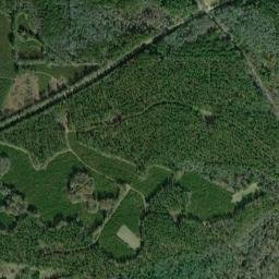 Asahel Alabama High Resolution Satellite Map