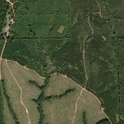 Watsonville Alabama High Resolution Satellite Map