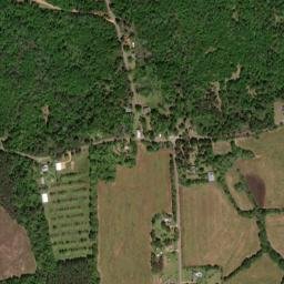 Forest Home Alabama High Resolution Satellite Map