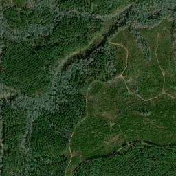 Quitman County map(satellite map)