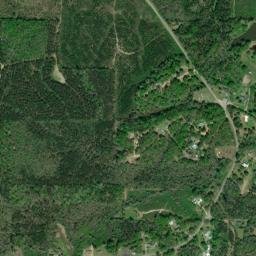 Womack Hill Alabama High Resolution Satellite Map