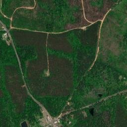 Lower Peach Tree Alabama High Resolution Satellite Map