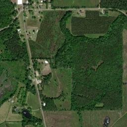 Petrey Alabama High Resolution Satellite Map