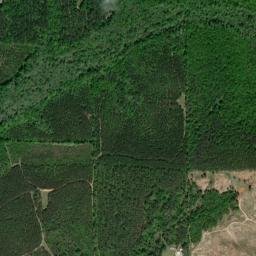 Herbert Alabama High Resolution Satellite Map