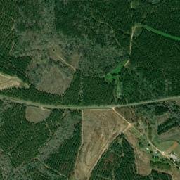 Cotton Hill Alabama High Resolution Satellite Map