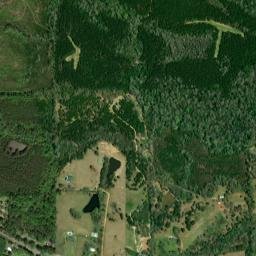 Reddock Springs Alabama High Resolution Satellite Map