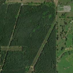 3354-3450 State Highway 485, Robeline, LA High Resolution Satellite Map