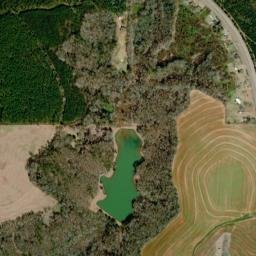 Alabama 93, Banks, AL 36005, USA High Resolution Satellite Map