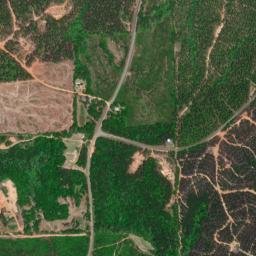 Nettleboro Alabama High Resolution Satellite Map