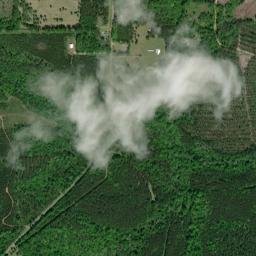 Butler Springs Alabama High Resolution Satellite Map