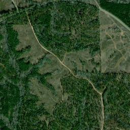 Buena Vista Alabama High Resolution Satellite Map