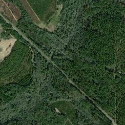 Millers Ford Alabama High Resolution Satellite Map