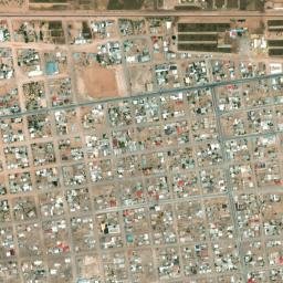 Puerto Palomas map(satellite map)