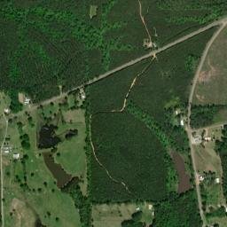 Shacklesville Alabama High Resolution Satellite Map